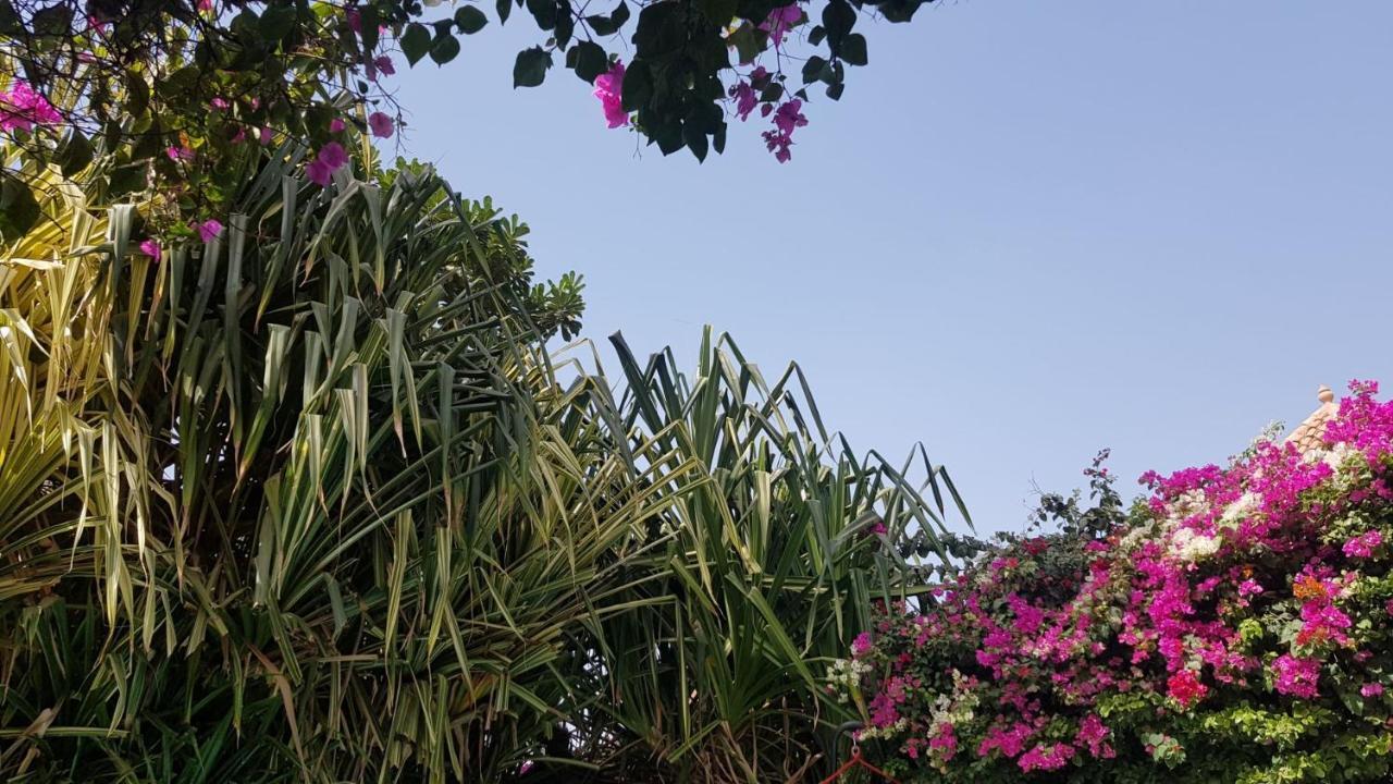Villa Met Prive Zwembad In Residence Safari Village Saly Portudal Exterior photo