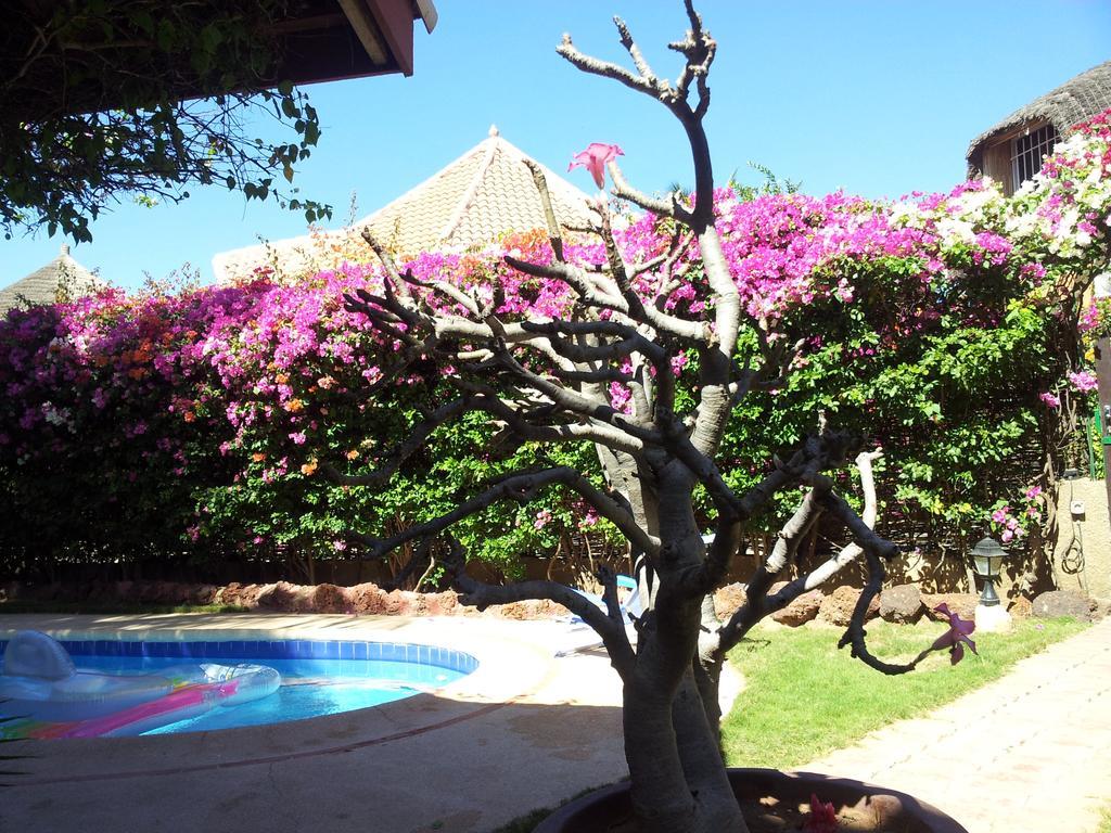 Villa Met Prive Zwembad In Residence Safari Village Saly Portudal Exterior photo